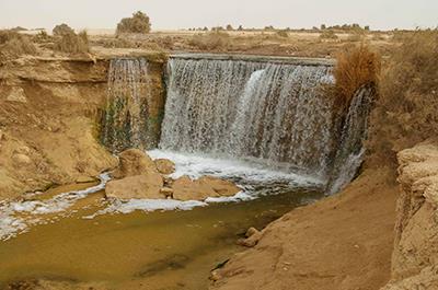 Day tour to Fayoum oasis