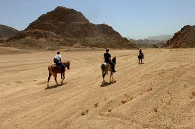 Horse Riding