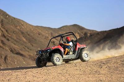 Family Buggy Adventure