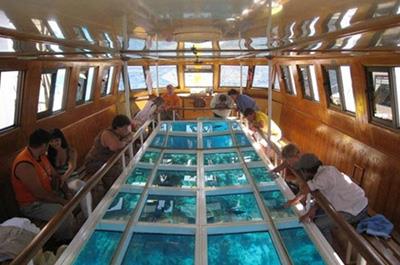 Glass Bottom Boat